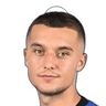 N. Havelka