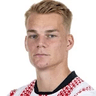 P. Lienhart