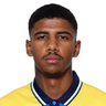 Vitor Meer