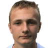 M. Mehl