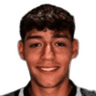 G. Trindade