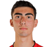 A. Vardanyan